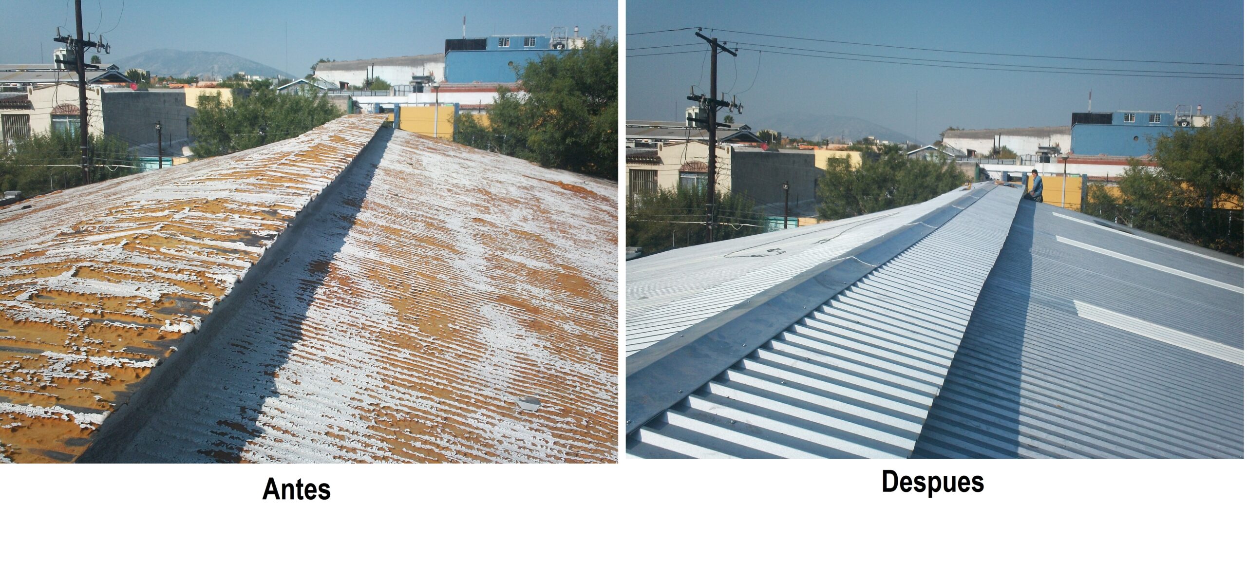 Javier Troncoso (antes y despues)